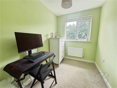 Picture 14